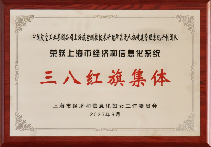 三八红旗集体 奖牌